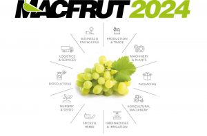 Macfrut Hotel vicino Fiera Rimini